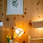 Hotel Alpina 3*